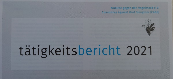 Tätigkeitsbericht 2024