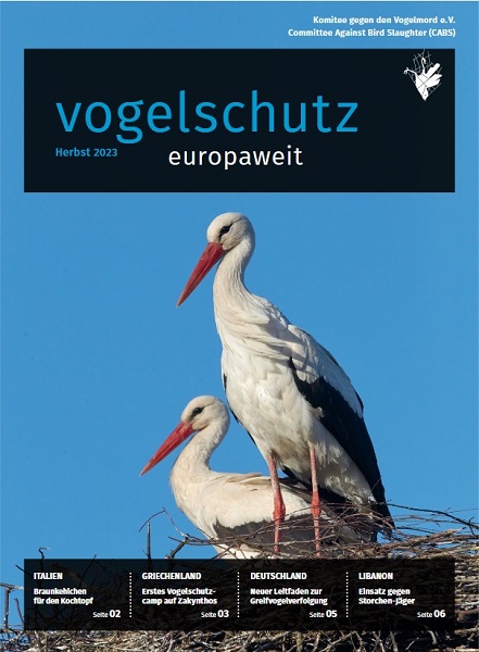 Vogelschutz europaweit 2023